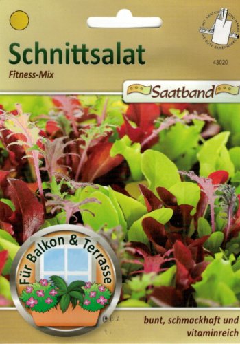 Schnittsalat Fitness Mix Saatband für Balkon & Terrasse bunt schmackhaft vitaminreich 43020 Salat von Chrestensen