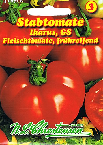 Stabtomaten Ikarus Fleischtomate, sehr frühreifend von Chrestensen