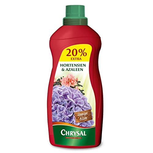 Chrysal Hortensien & Azaleen Flüssigdünger - 1200 ml von Chrysal