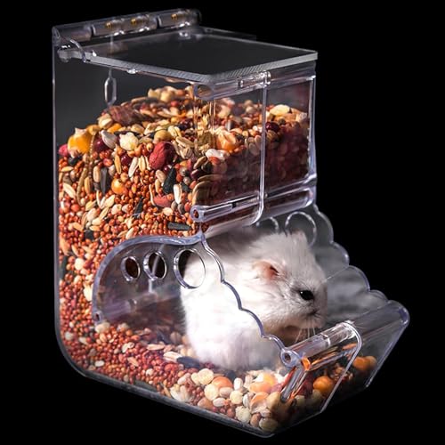 Automatischer Hamsterfutterautomat, Hamster Futterspender, Acryl Hamsterfutterautomat, Transparentes Acryl, Futterautomat für Hamster, Igel, Eichhörnchen, Meerschweinchen und Vögel (400 ml) von Colrid
