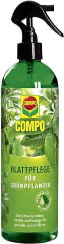 COMPO Blattpflege für Grünpflanzen, Blatt-Dünger für alle Grünpflanzen und Palmen, 500 ml von Compo