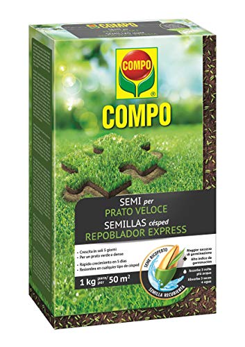 Compo Semillas Césped Repoblador (1Kg) von Compo