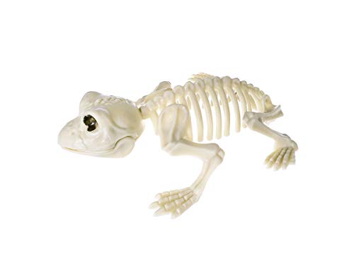 CoolChange Halloween Deko Frosch Skelett aus Kunststoff | Horror Kröten Gerippe | 17cm von CoolChange