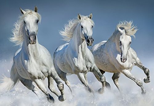 3 D Platzset weiße Pferde, 2erSet, Tischset, Tier Tiere, Pferd Pony von Cornelissen