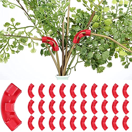 30 Stück Pflanzenwachstum Bieger Clips Gardening Plant Support Fixture Kletterpflanzen Befestigung Clip 90 Grad Pflanzenclip für Pflanzenkontrolle Biegeclips für Pflanzenzweige von Cosswe