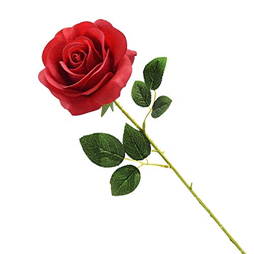 Cosswe Künstliche Seidenrose, rote künstliche Rose, ewige Blumen, einzelner Stiel als Geschenk verpackt rote Rosen für Hochzeitssträuße Jubiläen Partys Hotels Büro-Dekoration von Cosswe
