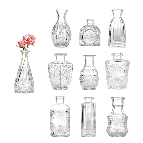 Czemo Kleine Glasvasen für Tischdeko Mini Vasen Set 10 Stück Glas Vasen Blumenvase modern Tischvasen Hochzeit kleine Vase Dekogläser für Trockenblumen Glasfläschchen Deko Flaschen von Czemo