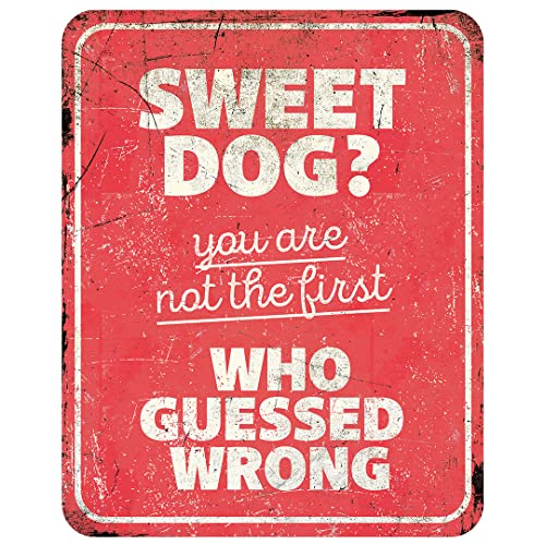 D&D Home, Warnschild Achtung am Hund, 25 x 20 x 0,3 cm, englische Version, roter Hintergrund, Warnschild aus Metall, rostbeständig, mit lustigem Text von D&D Home