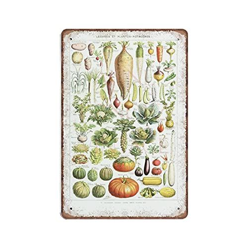 DAIERCY Gemüse Blechschilder 1948 Vintage Küche Dekor Gemüse Poster Antik Botanische Kunst Französische Landdekor Metallschild Wandkunst Küche Dekor, 140 x 200 mm von DAIERCY