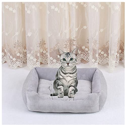 DAIHAN Hundebett Katzenbett Waschbar Katzen Bettchen mit Zweiseitig Innenkissen Katzenschlafplatz Hundesofa Hundecouch Haustierbett,Grau,L(60x45x15cm) von DAIHAN