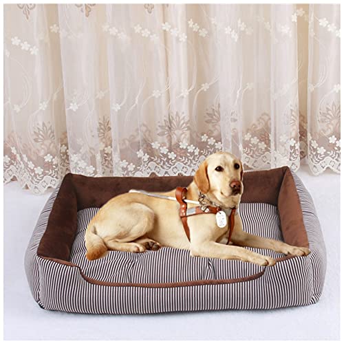 DAIHAN Hundebett Katzenbett Waschbar Katzen Bettchen mit Zweiseitig Innenkissen Katzenschlafplatz Hundesofa Hundecouch Haustierbett,Kaffee,M(50x38x15cm) von DAIHAN