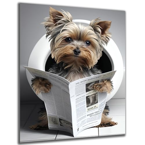 DARO Design - Toiletten-Bild auf 6mm HDF 30x20 cm Yorkshire Terrier Hund auf WC - Wand-Deko Bilder Lustiges Geschenk von DARO Design