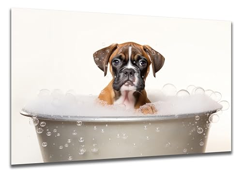 DARO Design - Toiletten-Bild auf 6mm HDF 40x30 cm Hunde-Welpe Boxer in der Badewanne - Wand-Deko Bilder Lustiges Geschenk von DARO Design