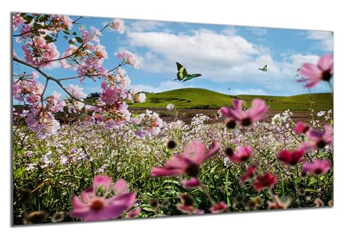 DARO Design - Wand-Bild auf 6mm HDF 40x30 cm Blumenwiese Blüten - Wand-Deko Bilder Geschenk von DARO Design