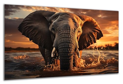 DARO Design - Wand-Bild auf 6mm HDF 70x50 cm Elefant Wasser Sonnenuntergang - Wand-Deko Bilder Geschenk von DARO Design