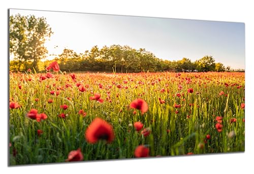 DARO Design - Wand-Bild auf 6mm HDF 70x50 cm Mohnblumen Blumenwiese - Wand-Deko Bilder Geschenk von DARO Design