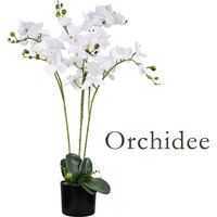 Künstliche Blumen Orchidee Orchideen Pflanzen Kunstpflanze Kunstblumen Künstlich Pflanze Weiß mit Topf Deko 75 cm Decovego von DECOVEGO