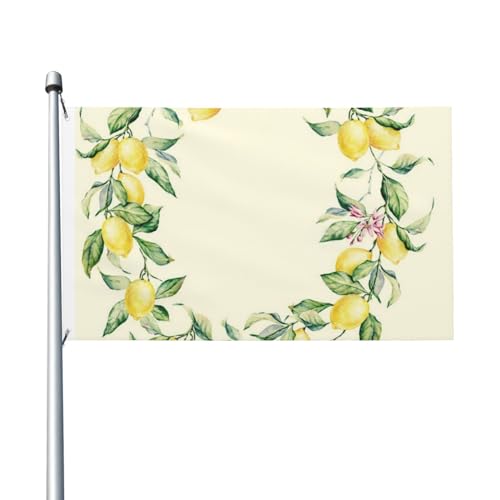 Zitronen-Flagge, 90 x 150 cm, doppelseitig, Gartenflaggen, Willkommensflaggen, Banner, Dekoration für Innenhof, Veranda, Rasen von DEHIWI