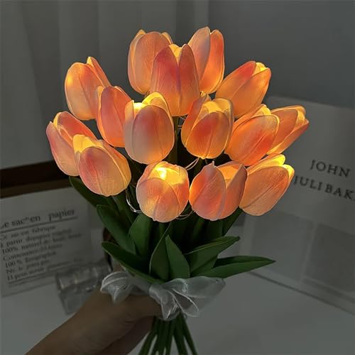 DINOWIN LED Künstliche Tulpen Gefälschte Tulpen Blumen batteriebetrieben Blumensträuße Nachtlicht wie echt für Home Room Hochzeit DIY Dekor (Rosa+Weiß, 15 PCS) von DINOWIN