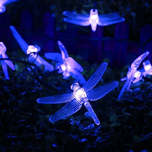 Solar Lichterkette Außen,DINOWIN 20ft 30 LED Libelle Licht,Wasserdichte lichterkette Dekorative für Garten, Party, Hochzeit, Haus,Fest Deko Beleuchtung,8 Beleuchtungsmodi (Blau) von DINOWIN