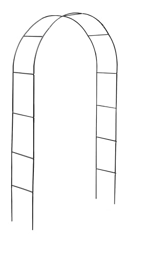 Divchi Metall-Gartenbogen aus Stahlrahmen für Kletterpflanzen, Schwarz, Rosen, Innen- und Außenbereich, ideal für Hinterhof, Rasen, Terrasse, Innenhof, Hochzeitsdekorationen von DIVCHI