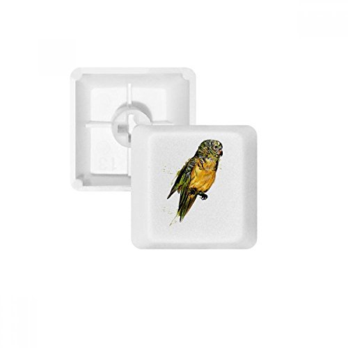 DIYthinker Yellow Budgie Papageien-Vogel-PBT Keycaps für mechanische Tastatur Weiß OEM Keine Markierung drucken von DIYthinker