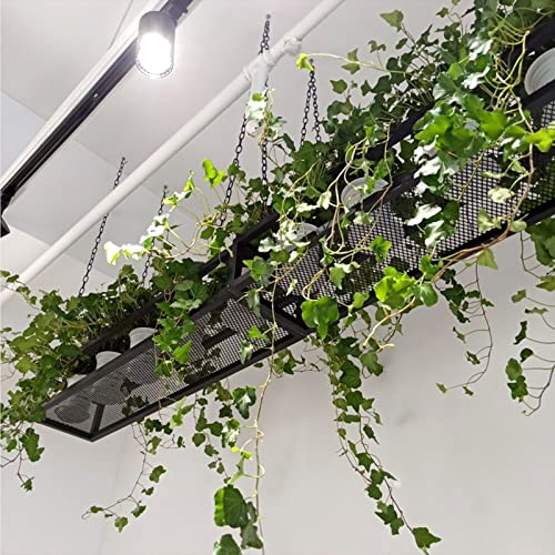 Schwarzes Blumen-Pflanzenregal zum Aufhängen an der Decke, Zuhause, Bar, Eisen, Weinregal, Küche, Topf- und Pfannenhalter (80x25x15cm) von DRYIC