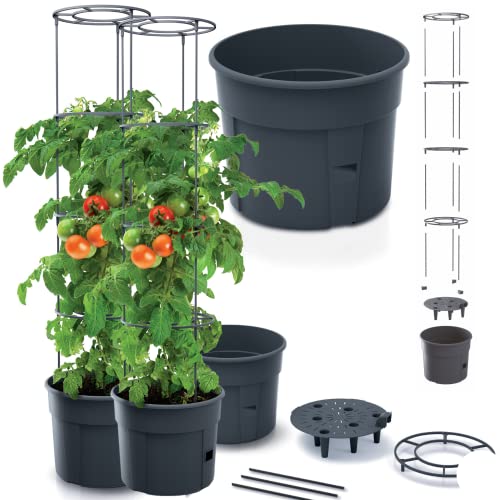 DTU24 2er Tomatenpflanze Set Pflanzkübel Tomato Grower Pflanzen Tomate Garten Terrasse 39,2 x 15,3 (IPOM400) Anthrazit von DTU24