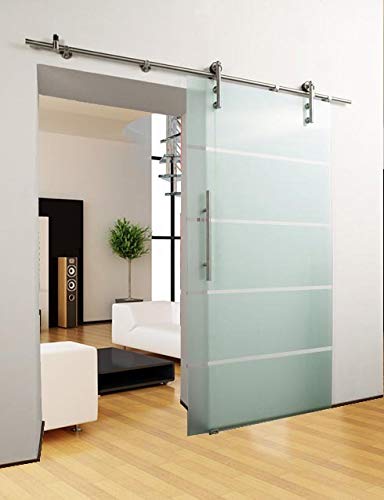 DURADOOR® Zimmertür aus ESG Glas im 5-Streifen Design 2050 mm x 1050 mm x 10 mm Schiebe tür Glastür Gleit tür von DURADOOR