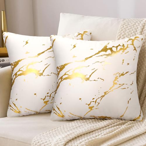 Kissenbezug 50x50 cm Weiß 2er Set Samt Kissenbezüge Gold Marmor Muster Kissenhülle Dekokissen Modern Luxus Sofakissen Dekokissen Deko für Sofa Schlafzimmer Wohnzimmer Balkon von DakTou