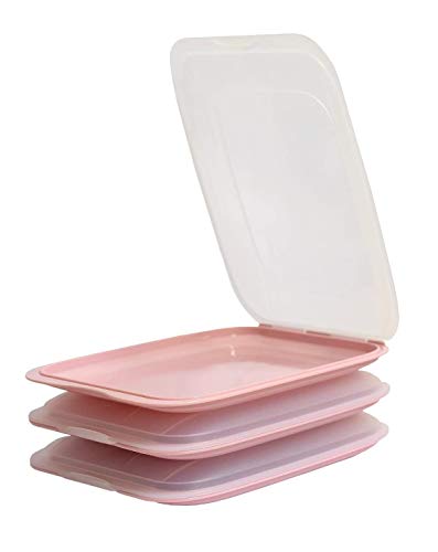 Design 3X Aufschnittboxen/Frischhalteboxen/Frischhaltedose stapelbar in der Farbe Rosa geeignet für Aufschnitt wie Wurst und Käse und vieles mehr in der Größe 25x17x3.3cm von Damilo
