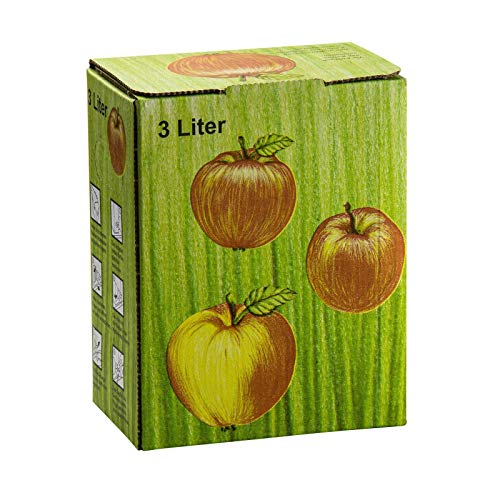 DeTec Bag in Box Karton Apfeldekor Apfelsaft Faltkarton Schachtel Most Saftkarton für Saftlagerung 3-5 - 10 Liter Füllmenge (5 STK, 3 Liter) von DeTec