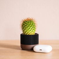 Kommen Sie Zu Unserem Kleinen Designer - Und Eleganten Übertopf, Ideal Für Einen Kaktus Oder Eine Kleine Grünpflanze, Hergestellt in Frankreich von Decomadeinfrance