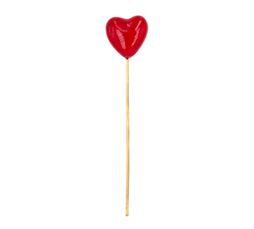 Blumenstecker Herz 22cm x 1 Stück Kunststoff Deko Pflanzenstecker Dekostecker Valentinstag Muttertag von Decoris