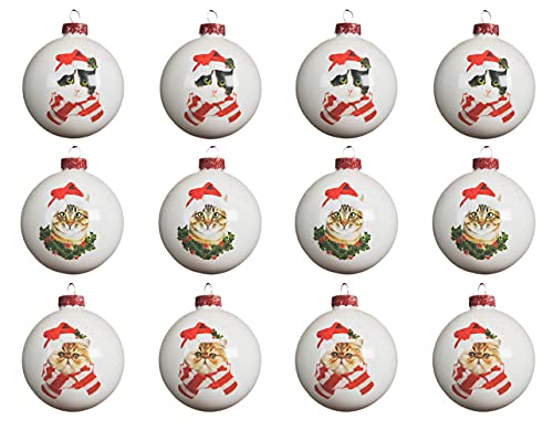 Decoris Weihnachtskugeln mit Motiven Glas 8cm x 12 Stück Katzen Weihnachtskostüm Christbaumkugeln weiß von Decoris
