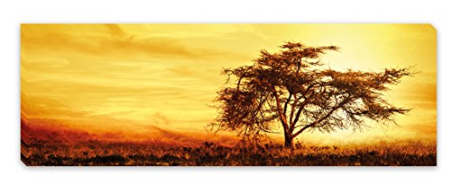 PICSonPAPER Leinwandbild Panorama Afrika Baum, 90 cm x 30 cm, Dekoration, Kunstdruck, Wandbild, Geschenk, Leinwand Baum, Feld, Natur (Afrika) von Deqosy