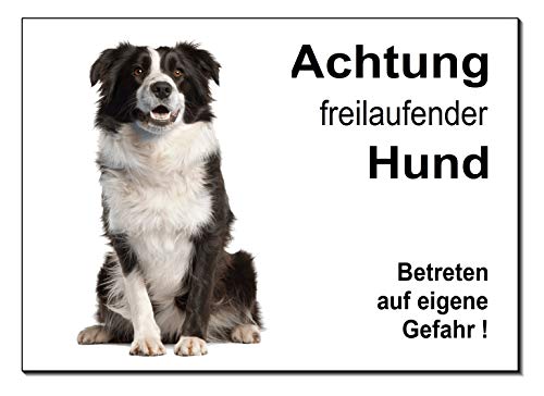 Border Collie-Freilaufender Hund-Schild-Hundeschild-300 x 200 x 3 mm-Aluminium-Tierschild-Warnschild-Hinweisschild (1451-116 mit Löcher) von Desi-Schilder