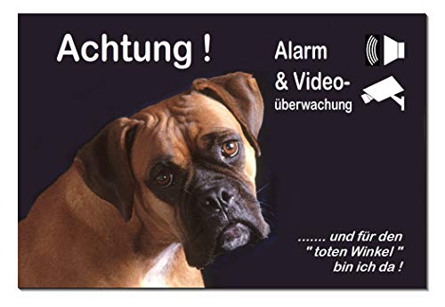 Boxer-Alarm-Video-Überwachung-Hund-3 Größen-2-3 mm Materialstärke-Schild-Hundeschild-Aluminium-Hunde-Tierschild-Warnschild-Hinweisschild (1451-103 -30 x 20 cm mit Löcher) von Desi-Schilder