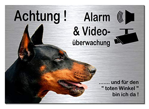 Dobermann-Alarm + Videoüberwachung-Hund-Schild-Hundeschild-30 x 20 cm-Aluminium Edelstahloptik-Hunde-Tierschild-Warnschild-Hinweisschild (133-20 -30 x 20 cm mit Klebepads) von Desi-Schilder