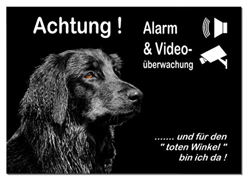 Hovawart-Alarm-Video-Überwachung-Hund-3 Größen-2-3 mm Materialstärke-Schild-Hundeschild-Aluminium-Hunde-Tierschild-Warnschild-Hinweisschild (1451-101 -30 x 20 cm mit Löcher) von Desi-Schilder