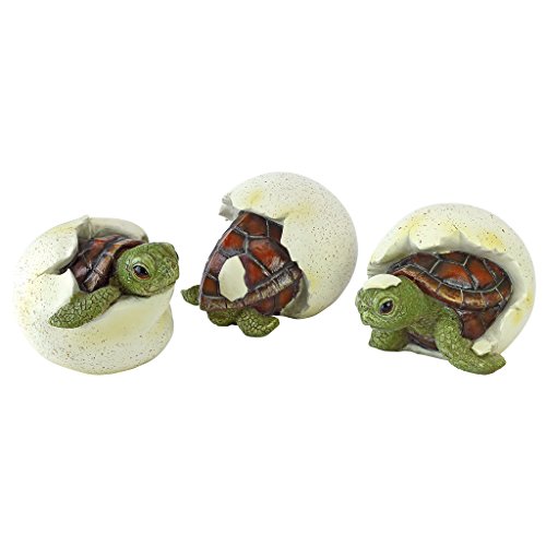 Design Toscano QM2562500 DREI Figuren Gerade aus dem Ei geschlüpfte Babyschildkröte, Resin, Mehrfarbig, 9 x 10 x 6.5 cm von Design Toscano