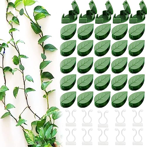 40 Stück Pflanzenclips Kletterpflanzen Clips, Unsichtbare Pflanzen-Clips Pflanzenclips Wand kletterpflanzen Befestigung Wand Selbstklebende Pflanzenstützclip für Gartenarbeit Pflanzenstützung von Devenirriche