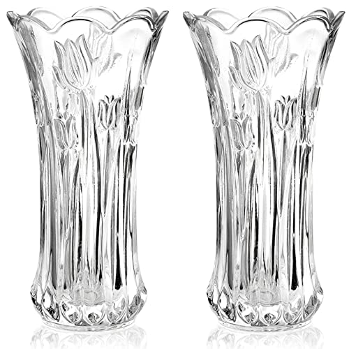 Dicunoy 2 Stück Glas Blumenvase, 24cm Große Moderne Glasvase für Tafelaufsätze, Moderne KlareTulpenvase, Rose Vase, Heavy Duty Crystal Tall Zylinder Flared Vase für Haus, Hochzeit, Wohnzimmer, Büro von Dicunoy