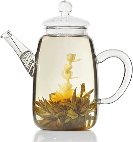 Dimono Mundgeblasene Teekanne mit Teefilter & Teesieb Kanne mit Filtereinsatz aus Glas (Krug 600ml) von Dimono