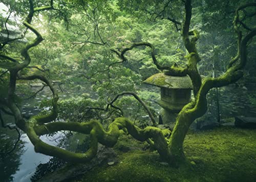 Displate - Poster aus Metall - Magnet-Montage - World Class Photos - Landscapes - Japanese Tree - Größe M - 32x45cm Matt von Displate