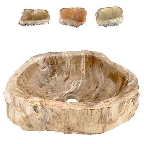 Aufsatz - Waschbecken versteinertes Holz Waschschale Handwaschbecken Fossil ab 40 cm Länge innen poliert außen naturbelassen von Divero