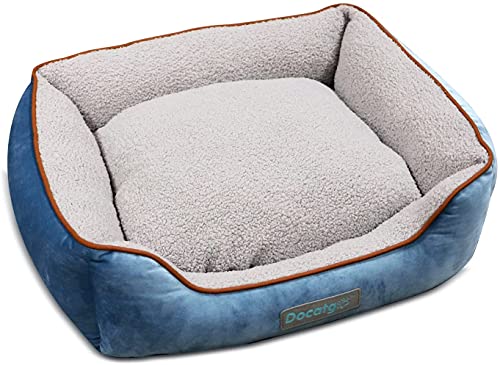 Docatgo Hundebetten für mittlere Hunde,60 * 50 * 18 cm Hundebett,waschbar hundebett hundekissen,Grosse Hunde hundekorb mit Wendekissen,Hundesofa, Hundematte, rutschfest,klein Hund hundekörbchen von Docatgo