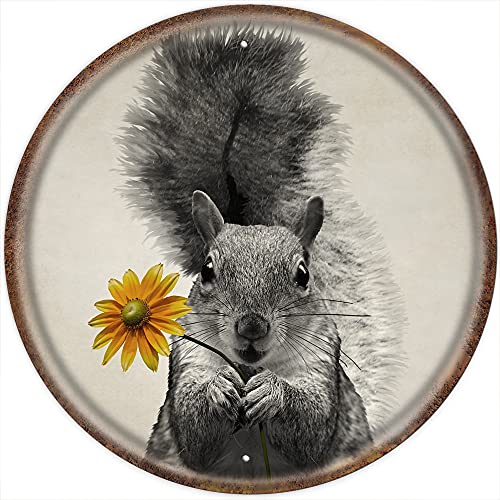 Schwarz-weißes Eichhörnchen im Vintage-Stil, rundes Blechschild, Waldlandschaft, Kinderzimmer, Wandkunst, Tierfotografie, Teller, Dekoration, Blume, Eichhörnchen, Metallschild, Küche, Garten, von Dreacoss