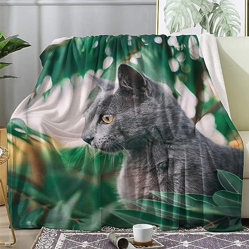 Kuscheldecke 150x200 Katzen Flauschige Decke Kätzchen Fleecedecke Sofadecke Couchdecke, Flanell Decken Blanket, Große XL Wohndecke Winter Warm Weich von ECOTOS