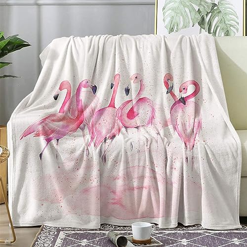 Kuscheldecke Flauschig Flamingo, Decke Fleecedecke 130x160 Rosa Tiere, Flanell Sofadecke Blanket Kleine, Wolldecke Wohndecke Schlafdecke Winter Warm Weich, Deko Decken für Couch Bed von ECOTOS